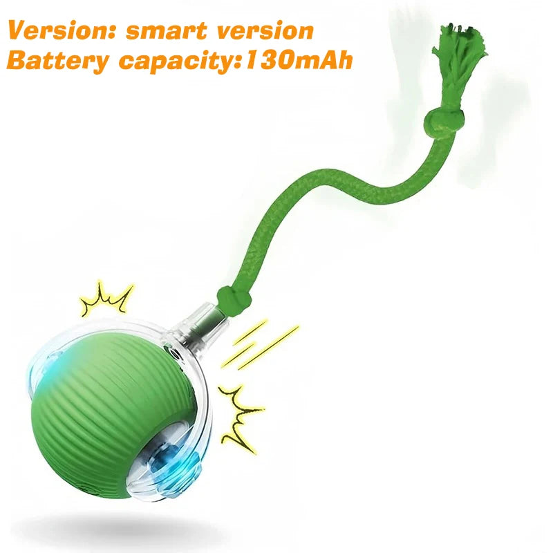 ZoomBall™ Smart Interactive Dog Toy – Auto Rolling Fun for Puppies & Dogs