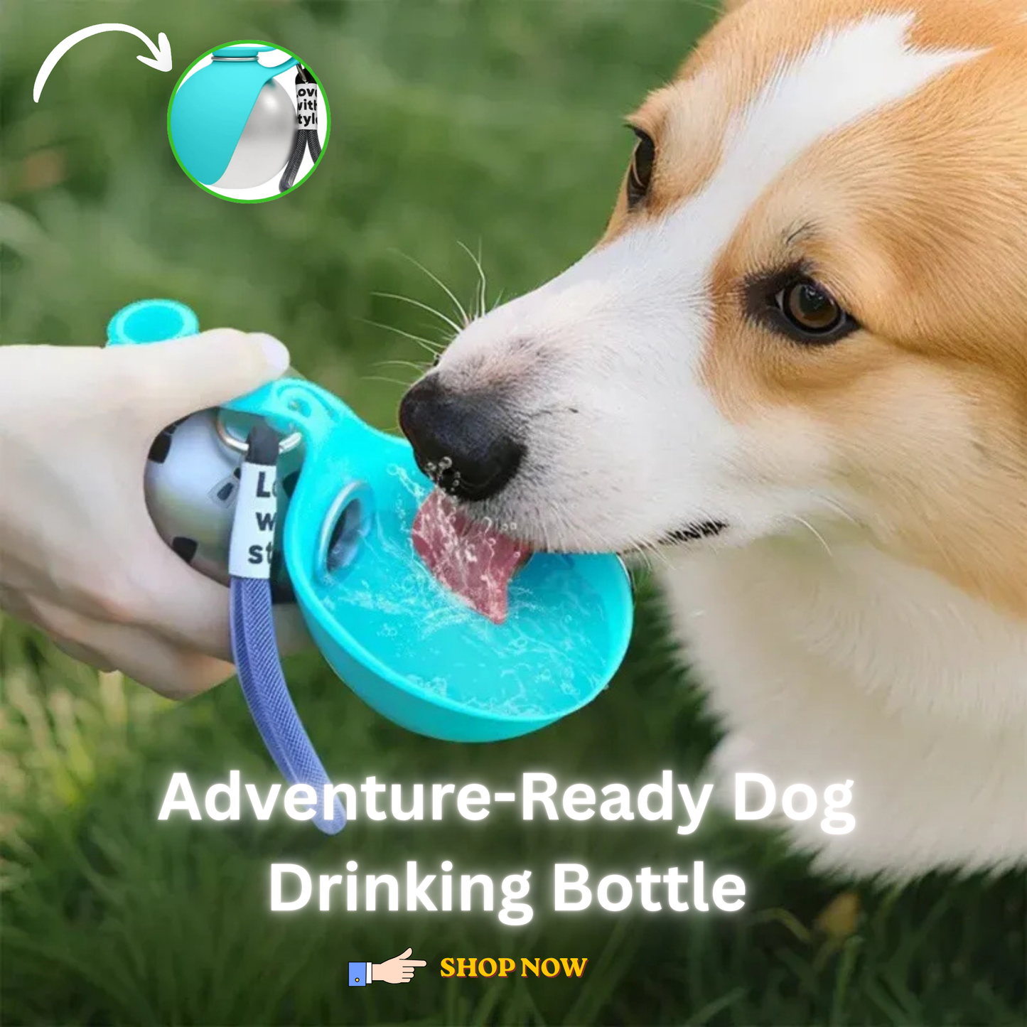 Sip & Go™ Portable Stainless Steel Water Bottle for Dogs