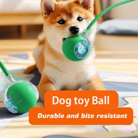 ZoomBall™ Smart Interactive Dog Toy – Auto Rolling Fun for Puppies & Dogs