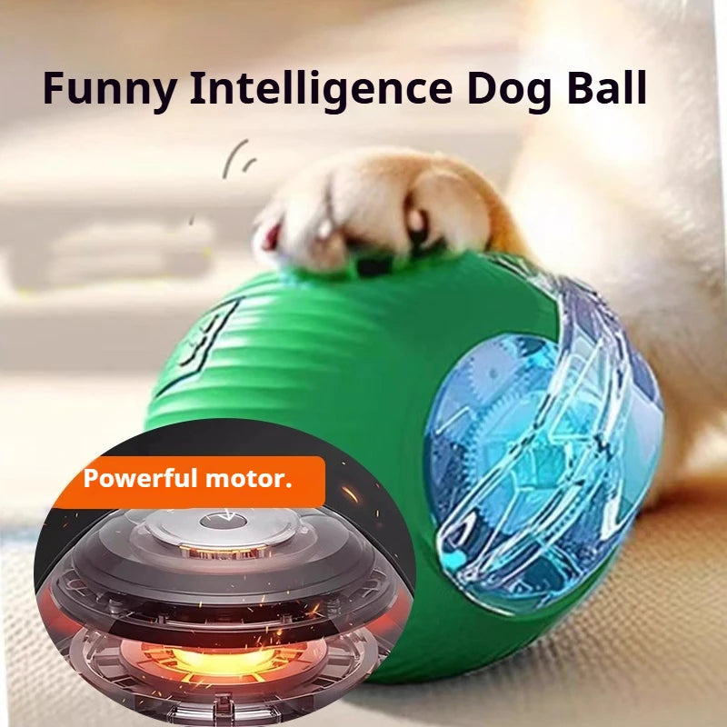 ZoomBall™ Smart Interactive Dog Toy – Auto Rolling Fun for Puppies & Dogs