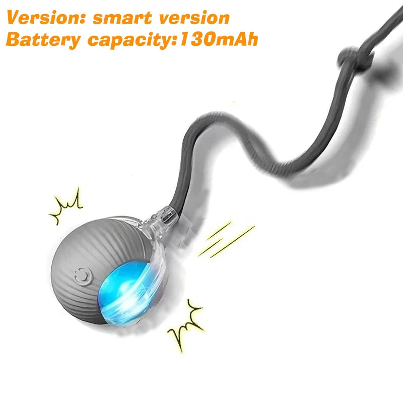 ZoomBall™ Smart Interactive Dog Toy – Auto Rolling Fun for Puppies & Dogs