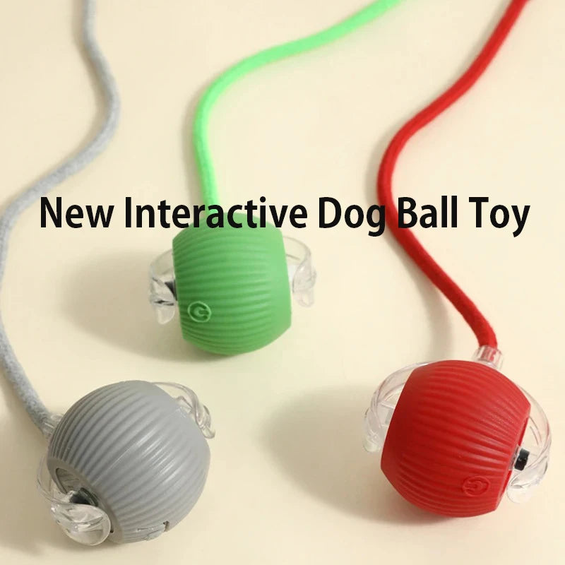 ZoomBall™ Smart Interactive Dog Toy – Auto Rolling Fun for Puppies & Dogs