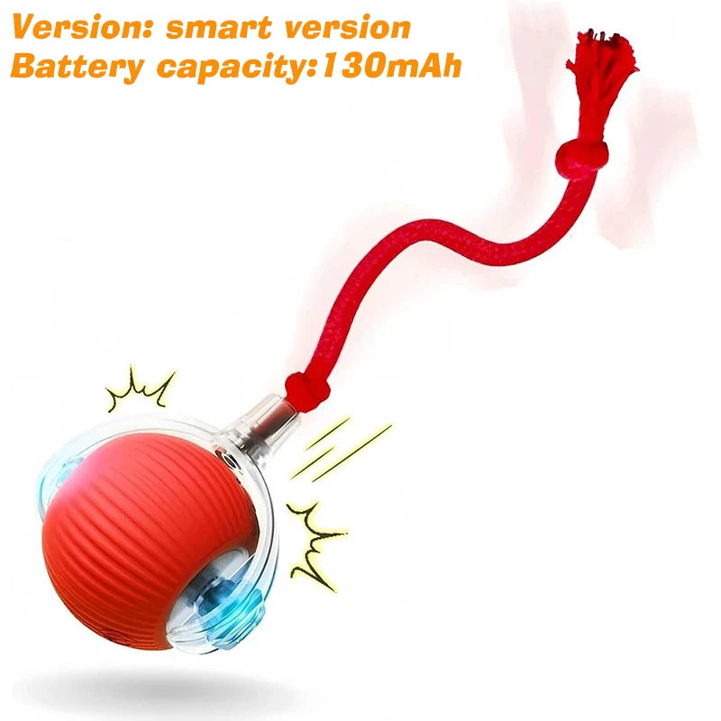 ZoomBall™ Smart Interactive Dog Toy – Auto Rolling Fun for Puppies & Dogs