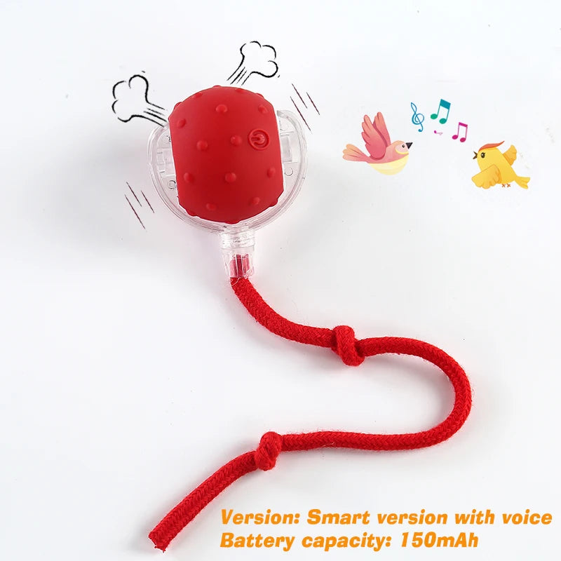 ZoomBall™ Smart Interactive Dog Toy – Auto Rolling Fun for Puppies & Dogs