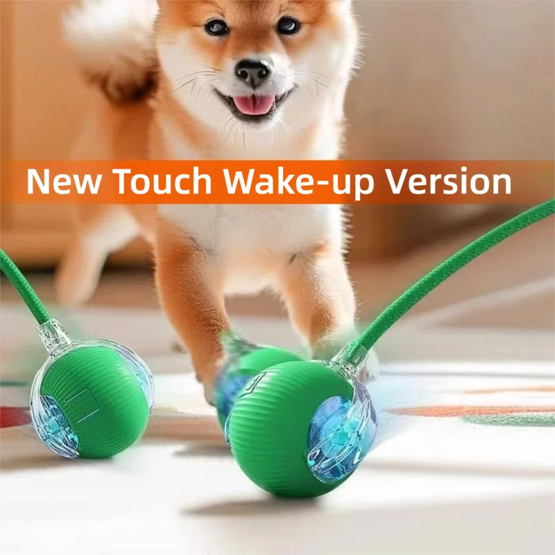 ZoomBall™ Smart Interactive Dog Toy – Auto Rolling Fun for Puppies & Dogs