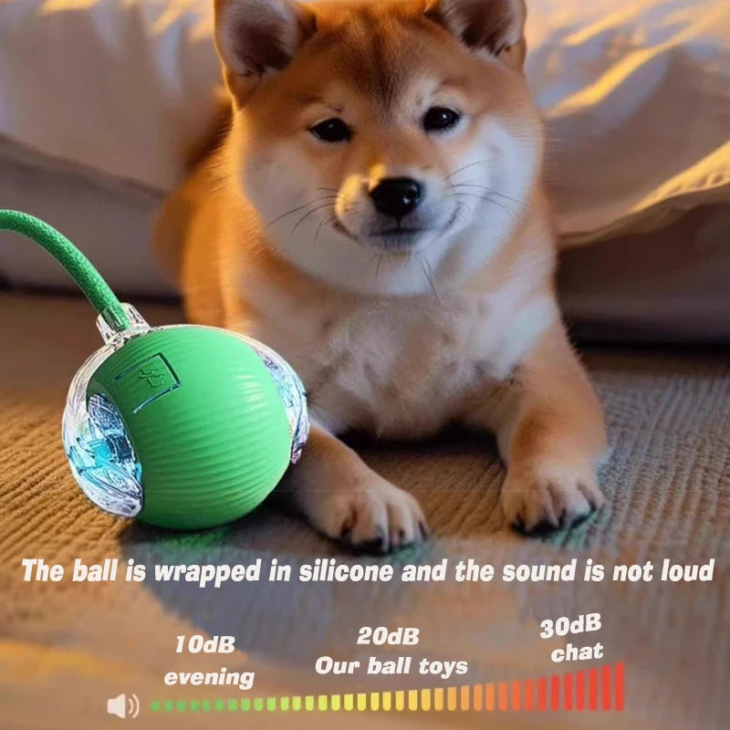 ZoomBall™ Smart Interactive Dog Toy – Auto Rolling Fun for Puppies & Dogs