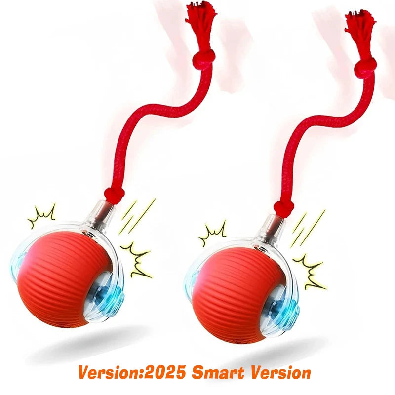 ZoomBall™ Smart Interactive Dog Toy – Auto Rolling Fun for Puppies & Dogs